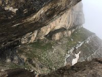 2018-05-25 La grotta del Capraro 183